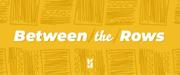 BetweenTheRows_email-header