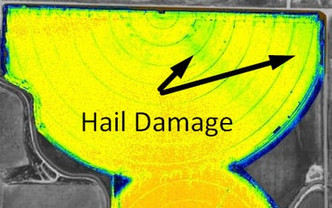 hail damage